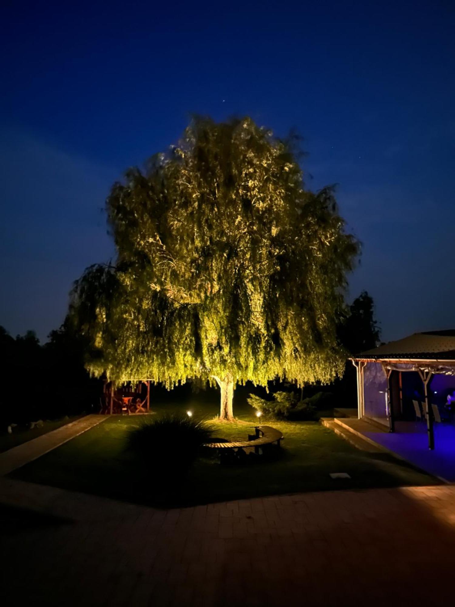 شقة Battonya House المظهر الخارجي الصورة